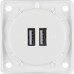 Berker Integro Çiftli USB+Type C Soket 56x56mm Berker Integro Çiftli USB+Type C Soket 56x56mm